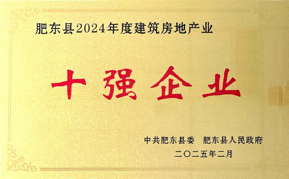 肥東縣2024年度十強企業(yè)