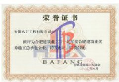 2019年度合肥建筑業(yè)優(yōu)秀施工總承包企業(yè)